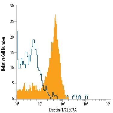 Human peripheral blood monocytes were stained with Mouse Anti-Human Dectin-1/CLEC7A APC-conjugated Monoclonal Antibody (Catalog # FAB1859A, filled histogram) or isotype control antibody (Catalog # IC0041A, open histogram). View our protocol for Staining Membrane-associated Proteins.