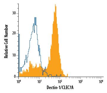 Human peripheral blood monocytes were stained with Mouse Anti-Human Dectin-1/CLEC7A PE-conjugated Monoclonal Antibody (Catalog # FAB1859P, filled histogram) or isotype control antibody (Catalog # IC0041P, open histogram). View our protocol for Staining Membrane-associated Proteins.
