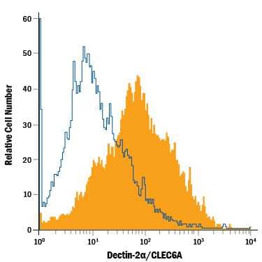 Mouse bone marrow-derived dendritic cells were stained with Goat Anti-Mouse Dectin-2/CLEC6A a Isoform APC-conjugated Antigen Affinity-purified Polyclonal Antibody (Catalog # FAB1525A, filled histogram) or isotype control antibody (Catalog # IC108A, open histogram). View our protocol for Staining Membrane-associated Proteins.