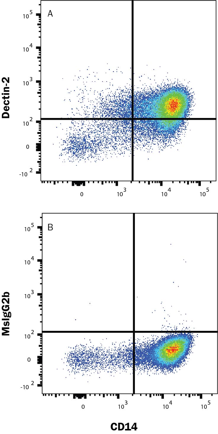 Human peripheral blood mononuclear cell (PBMC) monocytes were stained with (A) Mouse Anti-Human Dectin‑2/CLEC6A Monoclonal Antibody (Catalog # MAB31141) or (B) Mouse IgG2b Isotype Control (Catalog # MAB0041) followed by anti-Mouse IgG PE-conjugated secondary antibody (Catalog # F0102B) and Mouse Anti-Human CD14 APC-conjugated Monoclonal Antibody (Catalog # FAB3832A). View our protocol for Staining Membrane-associated Proteins.           