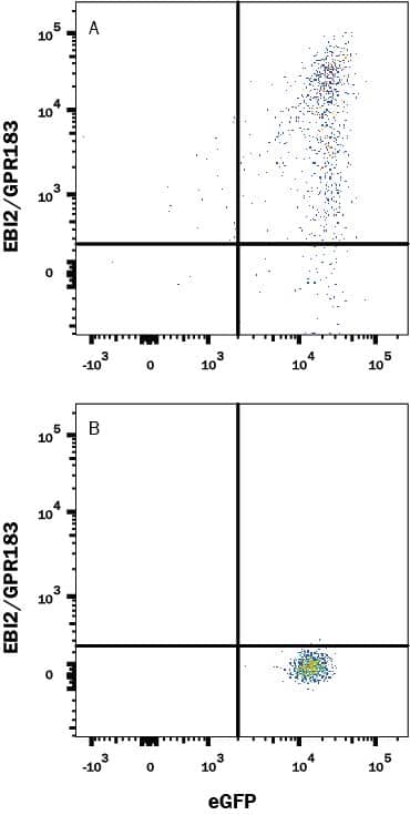 Flow Cytometry EBI2/GPR183 Antibody (486617) [Unconjugated]