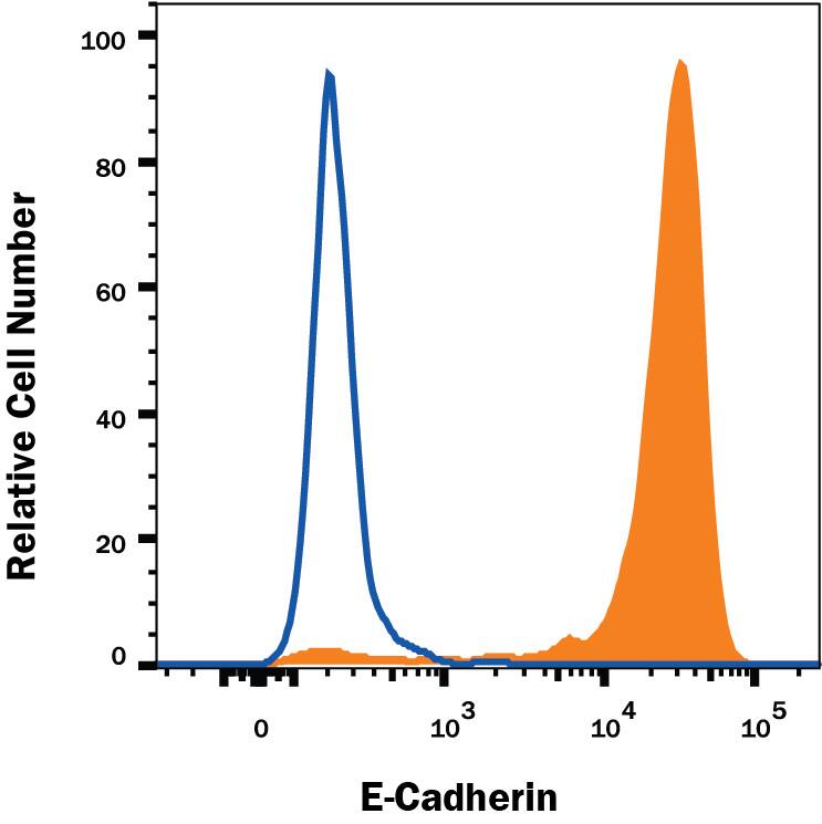MCF-7 human breast cancer cell line was stained with Mouse Anti-Human E-Cadherin PE-conjugated Monoclonal Antibody (Catalog # FAB18381P, filled histogram) or isotype control antibody (Catalog # IC0041P, open histogram). Cells were stained in a buffer containing Ca2+and Mg2+. View our protocol for Staining Membrane-associated Proteins.