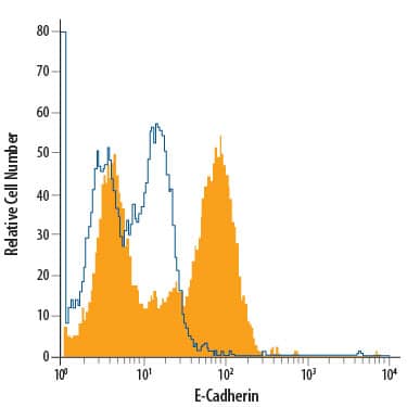 D3 mouse embryonic stem cell line was stained with Rat Anti-Mouse E-Cadherin Fluorescein-conjugated Monoclonal Antibody (Catalog # FAB7481F, filled histogram) or isotype control antibody (Catalog # IC006F, open histogram). Cells were stained in a buffer containing Ca2+and Mg2+. View our protocol for Staining Membrane-associated Proteins.