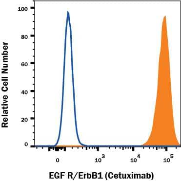 A431 human epithelial carcinoma cell line was stained with Human Anti-Human EGF R/ErbB1 (Research Grade Cetuximab Biosimilar) Biotinylated Monoclonal Antibody (Catalog # FAB9577B, filled histogram) or irrelevant biotinylated antibody (open histogram) followed by APC-conjugated Streptavidin (Catalog # F0050). View our protocol for Staining Membrane-associated Proteins.