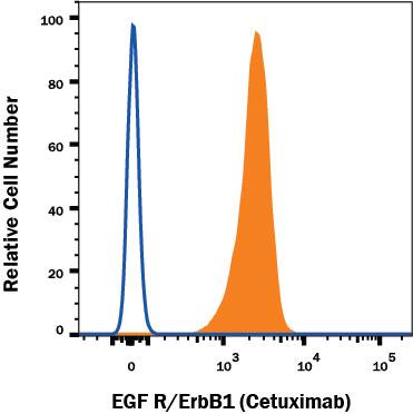 A431 human epithelial carcinoma cell line was stained with Human Anti-Human EGFR (Research Grade Cetuximab Biosimilar) Alexa Fluor® 750‑conjugated Monoclonal Antibody (Catalog # FAB9577S, filled histogram) or unstained cells (open histogram). View our protocol for Staining Membrane-associated Proteins.