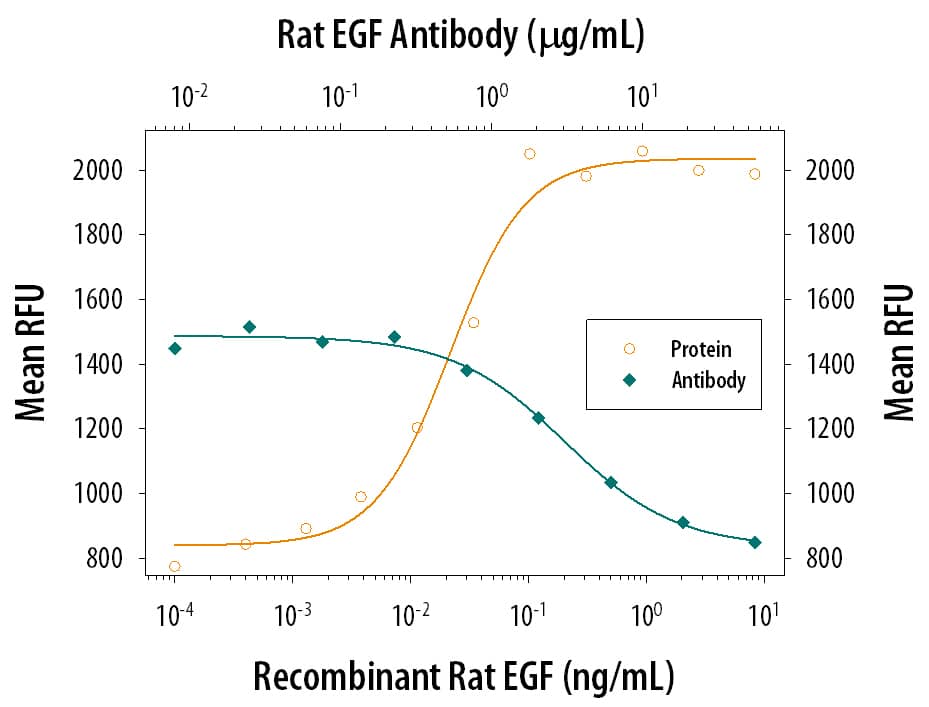 Recombinant Rat EGF (Catalog # 3214-EG) stimulates proliferation in the Balb/3T3 mouse embryonic fibroblast cell line in a dose-dependent manner (orange line). Proliferation elicited by Recombinant Rat EGF (75 pg/mL) is neutralized (green line) by increasing concentrations of Mouse Anti-Rat EGF Monoclonal Antibody (Catalog # MAB3214). The ND50 is typically 0.75-3.75 µg/mL.