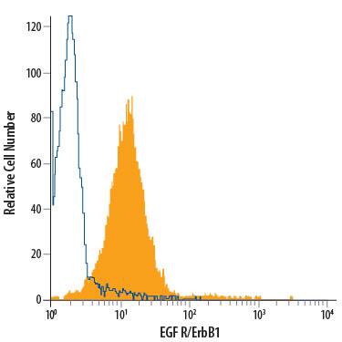 A431 human epithelial carcinoma cell line was stained with Rat Anti-Human EGF R/ErbB1 PE-conjugated Monoclonal Antibody (Catalog # FAB10951P, filled histogram) or isotype control antibody (Catalog # IC006P, open histogram). View our protocol for Staining Membrane-associated Proteins.