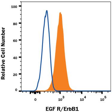 A431 human epithelial carcinoma cell line was stained with Rat Anti-Human EGFR Monoclonal Antibody (Catalog # MAB10951, filled histogram) or isotype control antibody (Catalog # MAB006, open histogram), followed by Allophycocyanin-conjugated Anti-Rat IgG Secondary Antibody (Catalog # F0113). View our protocol for Staining Membrane-associated Proteins.