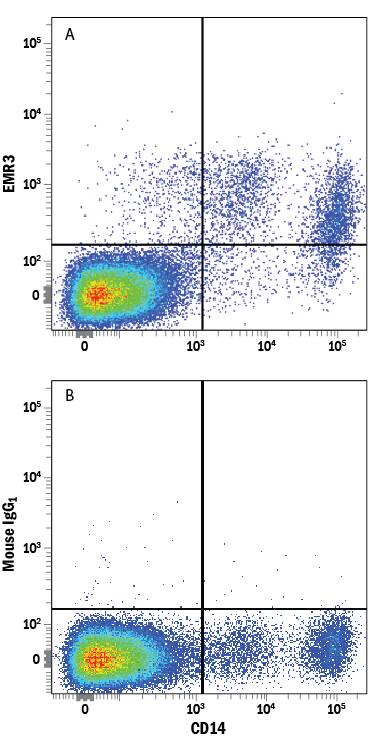 Human peripheral blood monocytes were stained with Mouse Anti-Human CD14 PE-conjugated Monoclonal Antibody (Catalog # FAB3832P) and either (A) Mouse Anti-Human EMR3 APC-conjugated Monoclonal Antibody (Catalog # FAB8496A) or (B) Mouse IgG2BAllophycocyanin Isotype Control (Catalog # IC0041A). View our protocol for Staining Membrane-associated Proteins.