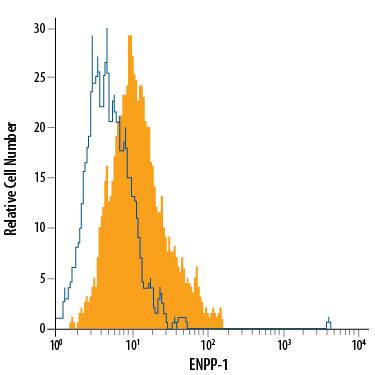 HepG2 human hepatocellular carcinoma cell line was stained with Sheep Anti-Human ENPP-1 Alexa Fluor® 488-conjugated Antigen Affinity-purified Polyclonal Antibody (Catalog # FAB6136G, filled histogram) or isotype control antibody (Catalog # IC016G, open histogram). View our protocol for Staining Membrane-associated Proteins.