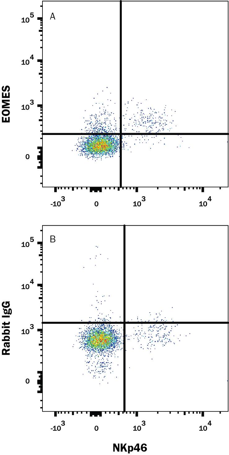 Mouse splenocytes were stained with Rat Anti-Mouse NKp46/NCR1 APC-conjugated Monoclonal Antibody (Catalog # FAB22252A) and either (A) Rabbit Anti-Mouse EOMES Alexa Fluor® 488-conjugated Monoclonal Antibody (Catalog # IC8889G) or (B) Normal Rabbit IgG Alexa Fluor 488 Control (Catalog # IC105G). To facilitate intracellular staining, cells were fixed and permeabilized with FlowX FoxP3 Fixation & Permeabilization Buffer Kit (Catalog # FC012). View our protocol for Staining Intracellular Molecules.