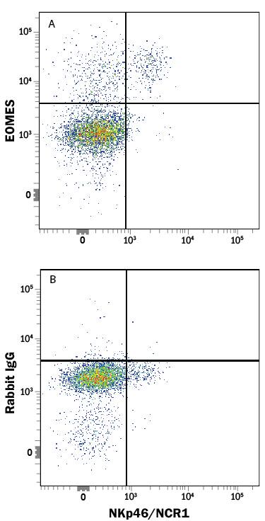 Mouse splenocytes  were stained with Rat Anti-Mouse NKp46/NCR1 APC‑conjugated Monoclonal Antibody (Catalog # FAB22252A) and either (A) Rabbit Anti-Mouse EOMES Monoclonal Antibody (Catalog # MAB8889) or (B) Normal Rabbit IgG Control (Catalog # AB-105-C) followed by Phycoerythrin-conjugated Anti-Rabbit IgG Secondary Antibody (Catalog # F0110). 