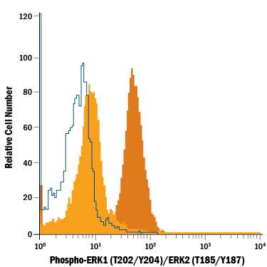 Human peripheral blood mononuclear cells (PBMCs) either untreated (light orange filled histogram) or treated with 50 ng/mL PMA and 200 ng/mL Calcium Ionomycin for 10 minutes (dark orange filled histogram) were stained with Rabbit Anti-Human/Mouse/Rat Phospho-ERK1/ERK2 (ERK1 T202/Y204, ERK2 T185/Y187) Alexa Fluor® 488-conjugated Monoclonal Antibody (Catalog # IC7806G) or isotype control antibody (Catalog # IC105G, open histogram). To facilitate intracellular staining, cells were fixed and permeabilized with ice-cold methanol. View our protocol for Staining Intracellular Molecules.