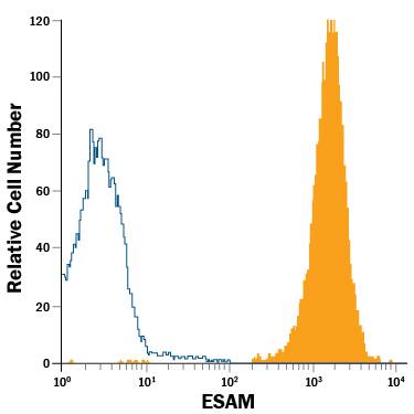 HUVEC human umbilical vein endothelial cell line was stained with Mouse Anti-Human ESAM APC-conjugated Monoclonal Antibody (Catalog # FAB4204A, filled histogram) or isotype control antibody (Catalog # IC0041A, open histogram). View our protocol for Staining Membrane-associated Proteins.
