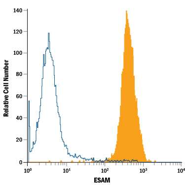 HUVEC human umbilical vein endothelial cells were stained with Mouse Anti-Human ESAM PE-conjugated Monoclonal Antibody (Catalog # FAB4204P, filled histogram) or isotype control antibody (Catalog # IC0041P, open histogram). View our protocol for Staining Membrane-associated Proteins.