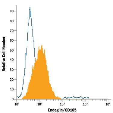 MS-1 mouse pancreatic islet endothelial cell line was stained with Rat Anti-Mouse Endoglin/CD105 Fluorescein-conjugated Monoclonal Antibody (Catalog # FAB1320F, filled histogram) or isotype control antibody (Catalog # IC006F, open histogram). View our protocol for Staining Membrane-associated Proteins.