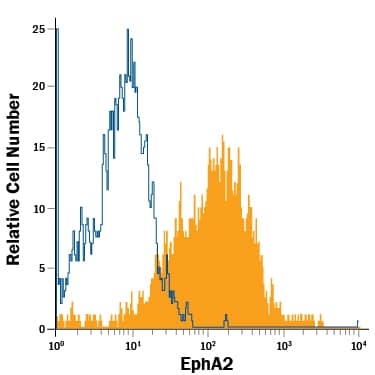 A431 human epithelial carcinoma cell line was stained with Mouse Anti-Human EphA2 Alexa Fluor® 700-conjugated Monoclonal Antibody (Catalog # FAB3035N, filled histogram) or isotype control antibody (Catalog # IC003N, open histogram). View our protocol for Staining Membrane-associated Proteins.