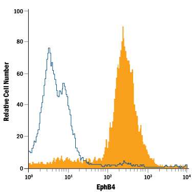 MCF-7 human breast cancer cell line was stained with Rat Anti-Human EphB4 PE-conjugated Monoclonal Antibody (Catalog # FAB3038P, filled histogram) or isotype control antibody (Catalog # IC005P, open histogram). View our protocol for Staining Membrane-associated Proteins.