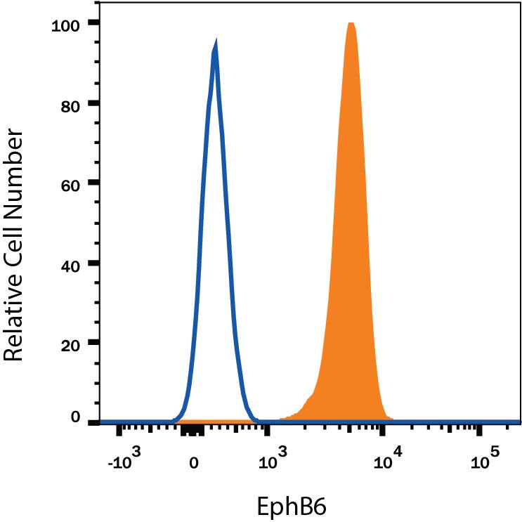 MOLT-4 human acute lymphoblastic leukemia cell line was stained with Sheep Anti-Human EphB6 Biotinylated Antigen Affinity-purified Polyclonal Antibody (Catalog # BAF3384, filled histogram) or isotype control antibody (Catalog # BAF020, open histogram), followed by Streptavidin-Phycoerythrin (Catalog # F0040). View our protocol for Staining Membrane-associated Proteins.