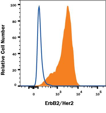 MDA-MB-453human breast cancer cell line was stained with Mouse Anti-Human ErbB2/Her2 Alexa Fluor® 488-conjugated Monoclonal Antibody (Catalog # FAB1129G, filled histogram) or isotype control antibody (Catalog # IC0041G, open histogram). View our protocol for Staining Membrane-associated Proteins.