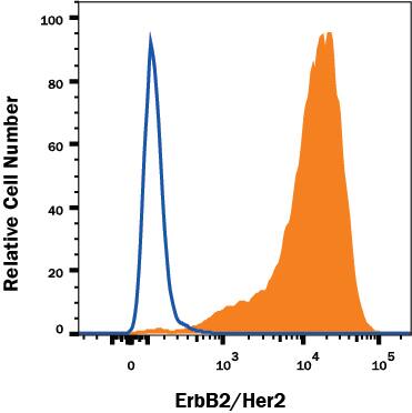 MDA-MB-453 human breast cancer cell line was stained with Mouse Anti-Human ErbB2/Her2 PE-conjugated Monoclonal Antibody (Catalog # FAB1129P, filled histogram) or isotype control antibody (Catalog # IC0041P, open histogram). View our protocol for Staining Membrane-associated Proteins.