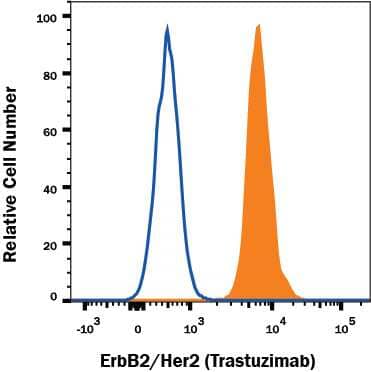 MCF-7 human cell line was stained with Biotinylated Human Anti-Human ErbB2/Her2 (Research Grade Trastuzumab Biosimilar) Monoclonal Antibody (Catalog # FAB9589B, filled histogram) or irrelevant antibody (open histogram) followed by APC-conjugated Streptavidin (Catalog # F0050). View our protocol for Staining Membrane-associated Proteins.