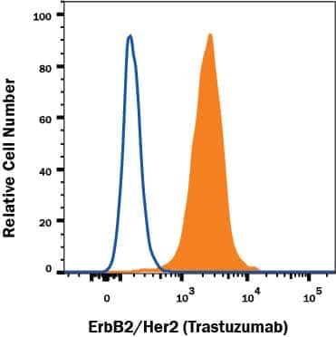 MCF-7 human cell line was stained with Mouse Anti-Human ErbB2/Her2 Monoclonal Antibody (Catalog # MAB9896, filled histogram) or Mouse IgG1 isotype control (Catalog # MAB002, open histogram) followed by anti-Mouse IgG PE-conjugated Secondary Antibody (Catalog # F0102B). View our protocol for Staining Membrane-associated Proteins.