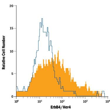 MCF-7 human breast cancer cell line was stained with Mouse Anti-Human ErbB4/Her4 APC-conjugated Monoclonal Antibody (Catalog # FAB11311A, filled histogram) or isotype control antibody (Catalog # IC003A, open histogram). View our protocol for Staining Membrane-associated Proteins.