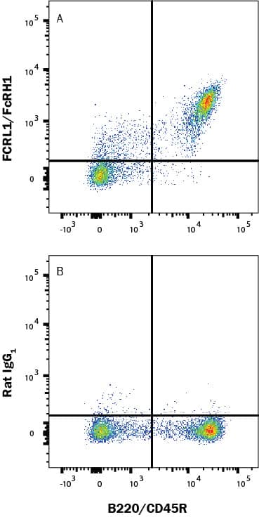 Mouse splenocytes were stained with (A) Rat Anti-Mouse FCRL1/FcRH1 Alexa Fluor® 647‑conjugated Monoclonal Antibody (Catalog # FAB7286R) or (B) Rat IgG1 Isotype Control (Catalog # IC005R) and Rat Anti-Mouse B220/CD45R PE-conjugated Monoclonal Antibody (Catalog # FAB1217P). View our protocol for Staining Membrane-associated Proteins. 