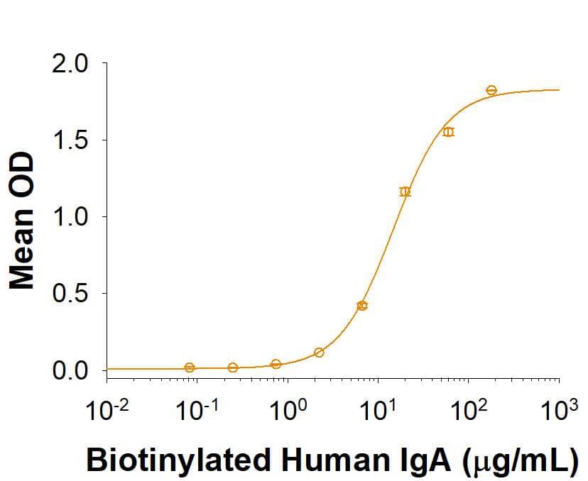 Binding Activity FCRL4/FcRH4/IRTA1 [Unconjugated]