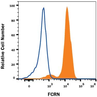 U937 human histiocytic lymphoma cell line was stained with Mouse Anti-Human FCRN Alexa Fluor® 647-conjugated Monoclonal Antibody (Catalog # IC8639R, filled histogram) or isotype control antibody (Catalog # IC0041R, open histogram). To facilitate intracellular staining, cells were fixed and permeabilized with FlowX FoxP3 Fixation & Permeabilization Buffer Kit (Catalog # FC012). View our protocol for Staining Intracellular Molecules.