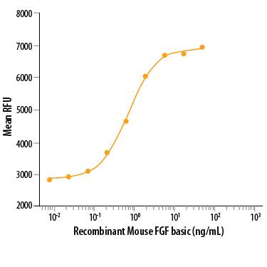 Recombinant Mouse FGF basic/FGF2/bFGF (Catalog # 3139-FB/CF) stimulates cell proliferation of the NR6R‑3T3 mouse fibroblast cell line. The ED50 for this effect is 0.3-1.8 ng/mL.