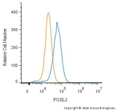 Flow Cytometry: FOXL2 Antibody [NBP2-70013] - An intracellular stain was performed on HeLa cells with NBP2-70013 and a matched isotype control. Cells were fixed with 4% PFA and then permeablized with 0.1% saponin. Cells were incubated in an antibody dilution of 2.5 ug/mL for 30 minutes at room temperature, followed by Rabbit IgG (H+L) Cross-Adsorbed Secondary Antibody, DyLight 550 (SA5-10033, Thermo Fisher).