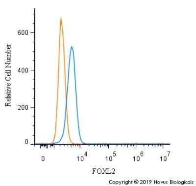Flow Cytometry: FOXL2 Antibody [NBP2-70013] - An intracellular stain was performed on Jurkat cells with FOXL2 Antibody NBP2-70013 (blue) and a matched isotype control (orange). Cells were fixed with 4% PFA and then permeabilized with 0.1% saponin. Cells were incubated in an antibody dilution of 1.0 ug/mL for 30 minutes at room temperature, followed by Rabbit IgG (H+L) Cross-Adsorbed Secondary Antibody, Dylight 550 (SA5-10033, Thermo Fisher).