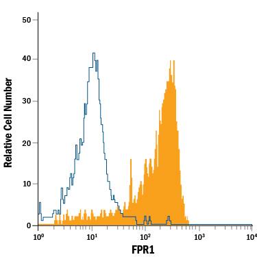 Human peripheral blood monocytes were stained with Mouse Anti-Human FPR1 Fluorescein-conjugated Monoclonal Antibody (Catalog # FAB3744F, filled histogram) or isotype control antibody (Catalog # IC003F, open histogram). View our protocol for Staining Membrane-associated Proteins.