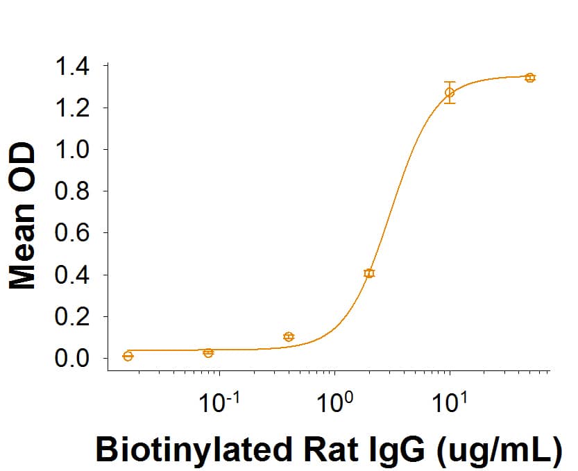 When Recombinant Rat Fc gamma  RIIA/CD32a (Catalog # 9696‑CD) isimmobilized on an anti-His Tag Antibody coated plate, it binds Biotinylated RatIgG with an ED50 of 1.25‑6.25 μg/mL.