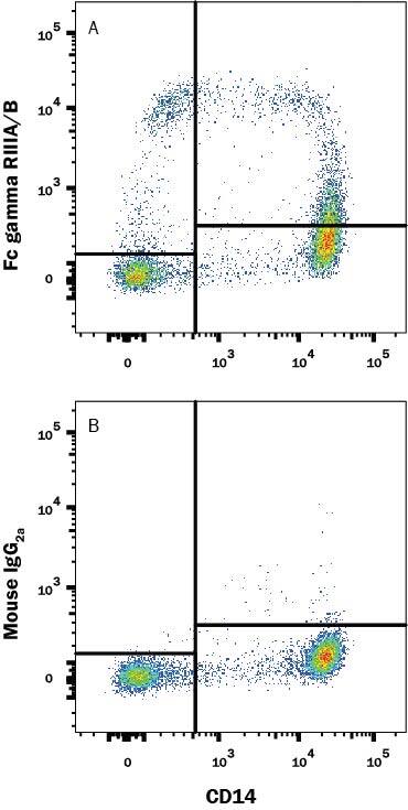 Human peripheral blood mononuclear cells (PBMCs) were stained with (A) Mouse Anti-Human Fc gamma RIII (CD16) Monoclonal Antibody (Catalog # MAB43251) or (B) Mouse IgG2A isotype control antibody (Catalog # MAB003) followed by anti-Mouse IgG APC-conjugated Secondary Antibody (Catalog # F0101B) and Mouse Anti-Human CD14 PE-conjugated Monoclonal Antibody (Catalog # FAB3832P). View our protocol for Staining Membrane-associated Proteins.