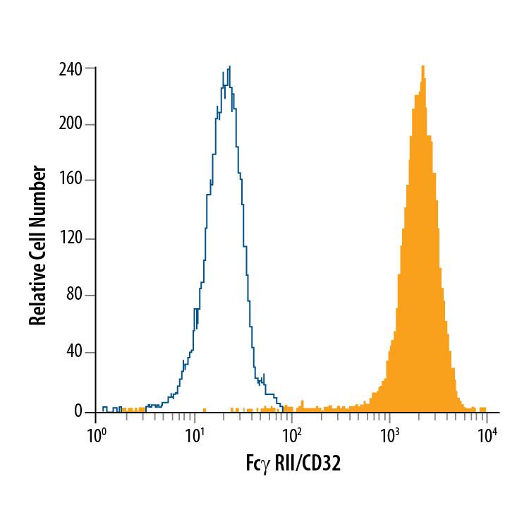 Human peripheral blood granulocytes were stained with Mouse Anti-Human Fc gamma RII/CD32 PE-conjugated Monoclonal Antibody (Catalog # FAB1330P, filled histogram) or isotype control antibody (Catalog # IC003P, open histogram). View our protocol for Staining Membrane-associated Proteins.