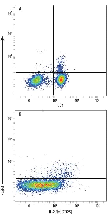 Human peripheral blood mononuclear cell (PBMC) natural regulatory T cells (Tregs) were surface stained with (A) Mouse Anti-Human CD4 Fluorescein-conjugated Monoclonal Antibody (Catalog # FAB3791F) and (B) Mouse Anti-Human IL-2 R alpha  (CD25) APC-conjugated Monoclonal Antibody (Catalog # FAB1020A), followed by intracellular staining using Rabbit Anti-Human/Mouse FoxP3 PE-conjugated Monoclonal Antibody (Catalog # IC8214P). To facilitate intracellular staining, cells were fixed and permeabilized with FlowX FoxP3 Fixation & Permeabilization Buffer Kit (Catalog # FC012). Cells were gated on lymphocytes.