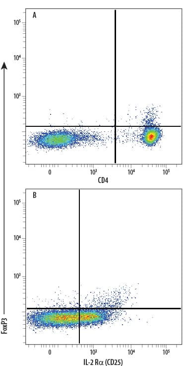 Human peripheral blood mononuclear cell (PBMC) natural regulatory T cells (Tregs) were surface stained with (A) Mouse Anti-Human CD4 PE-conjugated Monoclonal Antibody (Catalog # FAB3791P) and (B) Mouse Anti-Human IL‑2 R alpha  (CD25) APC-conjugated Monoclonal Antibody (Catalog # FAB1020A), followed by intracellular staining using Rabbit Anti-Human/Mouse FoxP3 Alexa Fluor® 488‑conjugated Monoclonal Antibody (Catalog # IC8214G). To facilitate intracellular staining, cells were fixed and permeabilized with FlowX FoxP3 Fixation & Permeabilization Buffer Kit (Catalog # FC012). Cells were gated on lymphocytes.