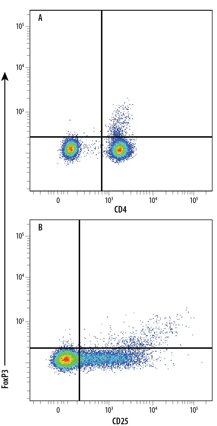 Human peripheral blood mononuclear cell (PBMC) natural regulatory T cells (Tregs) were surface stained with (A) Mouse Anti-Human CD4 Fluorescein-conjugated Monoclonal Antibody (Catalog # FAB3791F) and (B) Mouse Anti-Human IL-2 R alpha  (CD25) PE-conjugated Monoclonal Antibody (Catalog # FAB1020P), followed by intracellular staining using Rabbit Anti-Human/Mouse FoxP3 Alexa Fluor® 700-conjugated Monoclonal Antibody (Catalog # IC8214N). To facilitate intracellular staining, cells were fixed and permeabilized with FlowX FoxP3 Fixation & Permeabilization Buffer Kit (Catalog # FC012). Cells were gated on lymphocytes.