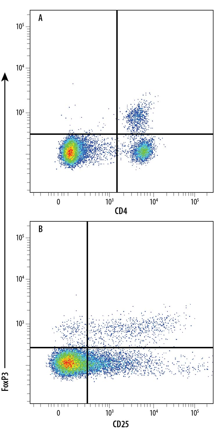 C57BL/6 mouse splenocyte natural regulatory T cells (Tregs) were surface stained with (A) Rat Anti-Mouse CD4 Fluorescein-conjugated Monoclonal Antibody (Catalog # FAB554F) and (B) Rat Anti-Mouse IL-2 R alpha  (CD25) PE-conjugated Monoclonal Antibody (Catalog # FAB2438P) followed by intracellular staining using Rabbit Anti-Human/Mouse FoxP3 Alexa Fluor® 700-conjugated Monoclonal Antibody (Catalog # IC8214N). To facilitate intracellular staining, cells were fixed and permeabilized with FlowX FoxP3 Fixation & Permeabilization Buffer Kit (Catalog # FC012). Cells were gated on lymphocytes.