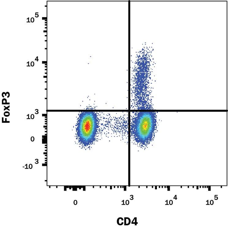 Human peripheral blood mononuclear cells (PBMCs) were stained with Mouse Anti-Human/Mouse/Rat FoxP3 PE-conjugated Monoclonal Antibody (Catalog # IC8970P) and Mouse Anti-Human CD4 Fluorescein-conjugated Monoclonal Antibody (Catalog # FAB3791F). Quadrant markers were set based on control antibody staining (Catalog # IC002P). To facilitate intracellular staining, cells were fixed and permeabilized with FlowX FoxP3 Fixation & Permeabilization Buffer Kit (Catalog # FC012). View our protocol for Staining Intracellular Molecules.
