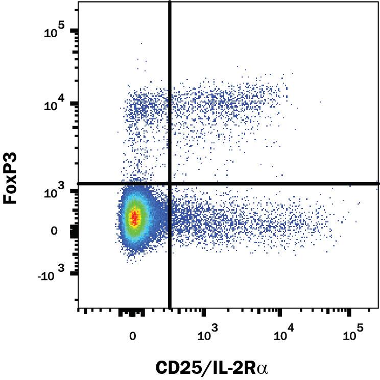 Mouse splenocytes were stained with Mouse Anti-Human/Mouse/Rat FoxP3 PE-conjugated Monoclonal Antibody (Catalog # IC8970P) and Rat Anti-Mouse CD25/IL-2 R alpha APC-conjugated Monoclonal Antibody (Catalog # FAB2438A). Quadrant markers were set based on control antibody staining (Catalog # IC002P). To facilitate intracellular staining, cells were fixed and permeabilized with FlowX FoxP3 Fixation & Permeabilization Buffer Kit (Catalog # FC012). View our protocol for Staining Intracellular Molecules.