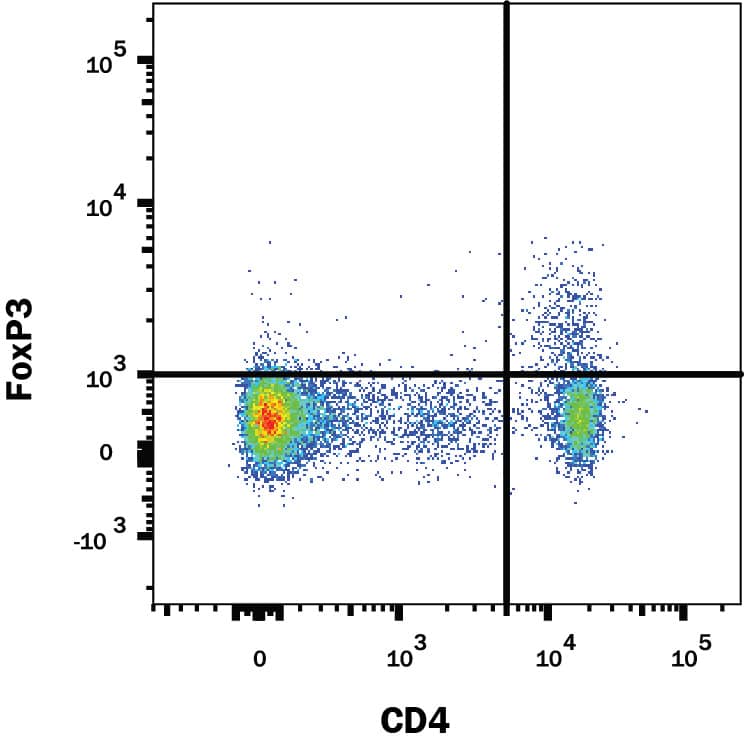 Rat splenocytes were stained with Mouse Anti-Human/Mouse/Rat FoxP3 PE-conjugated Monoclonal Antibody (Catalog # IC8970P) and Anti-Rat CD4 APC-conjugated Antibody. Quadrant markers were set based on control antibody staining (Catalog # IC002P). To facilitate intracellular staining, cells were fixed and permeabilized with FlowX FoxP3 Fixation & Permeabilization Buffer Kit (Catalog # FC012). View our protocol for Staining Intracellular Molecules.