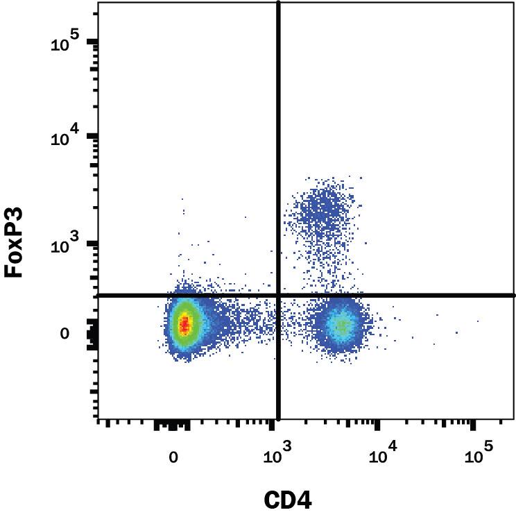 Mouse splenocytes were stained with Mouse Anti-Human/Mouse/Rat FoxP3 Alexa Fluor® 647-conjugated Monoclonal Antibody (Catalog # IC8970R) and Rat Anti-Mouse CD4 Alexa Fluor® 488-conjugated Monoclonal Antibody (Catalog # FAB554G). Quadrant markers were set based on control antibody staining (Catalog # IC002R). To facilitate intracellular staining, cells were fixed and permeabilized with FlowX FoxP3 Fixation & Permeabilization Buffer Kit (Catalog # FC012). View our protocol for Staining Intracellular Molecules.