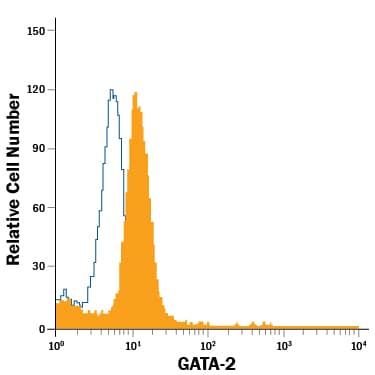 TF-1 human erythroleukemic cell line was stained with Goat Anti-Human GATA-2 PE-conjugated Antigen Affinity-purified Polyclonal Antibody (Catalog # IC2046P, filled histogram) or control antibody (Catalog # IC108P, open histogram). View our protocol for Staining Intracellular Molecules.