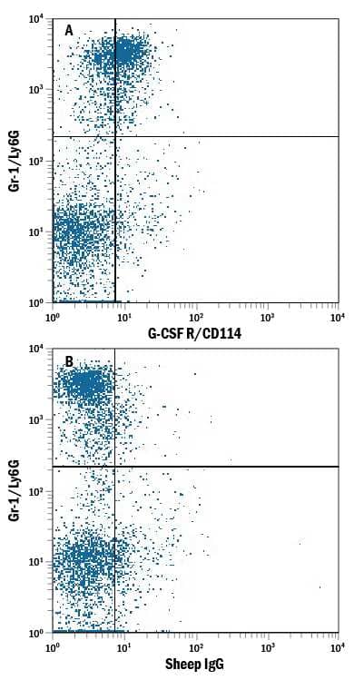 Mouse bone marrow was stained with Rat Anti-Mouse Gr-1/Ly-6G APC-conjugated Monoclonal Antibody (Catalog # FAB1037A) and either (A) Sheep Anti-Mouse G-CSF R/CD114 Alexa Fluor® 488-conjugated Antigen Affinity-purified Polyclonal Antibody (Catalog # FAB6039G) or (B) Normal Sheep IgG Alexa Fluor 488 Control (Catalog # IC016G). View our protocol for Staining Membrane-associated Proteins.