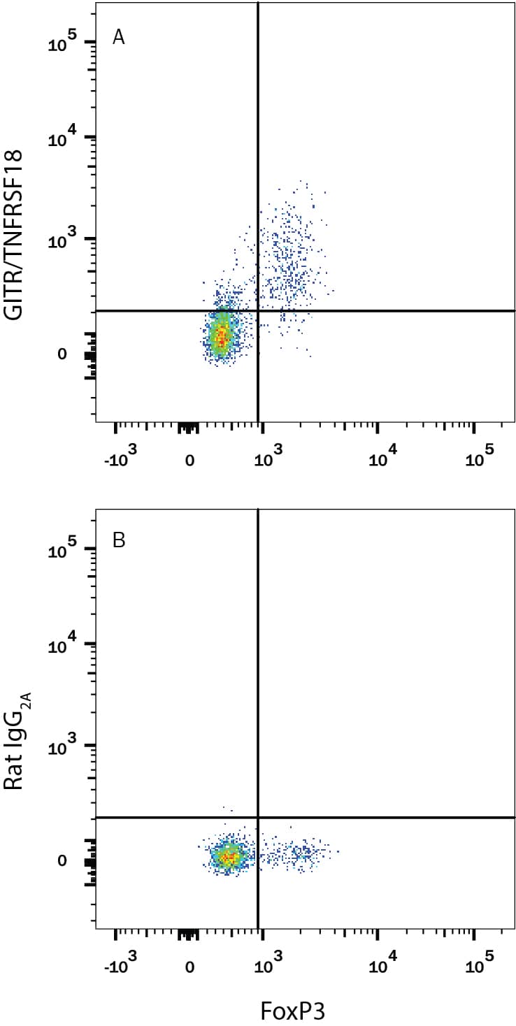 Mouse splenocytes stimulated to induce Regulatory T Cells (Tregs) were stained with Rabbit Anti-Human/Mouse FoxP3 Alexa Fluor® 488-conjugated Monoclonal Antibody (Catalog # IC8214G) and either (A) Rat Anti-Mouse GITR/TNFRSF18 APC-conjugated Monoclonal Antibody (Catalog # FAB5241A) or (B) Rat IgG2AAllophycocyanin Isotype Control (Catalog # IC006A). View our protocol for Staining Membrane-associated Proteins.