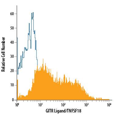HUVEC human umbilical vein endothelial cells were stained with Mouse Anti-Human GITR Ligand/TNFSF18 APC-conjugated Monoclonal Antibody (Catalog # FAB6941A, filled histogram) or isotype control antibody (Catalog # IC002A, open histogram). View our protocol for Staining Membrane-associated Proteins.